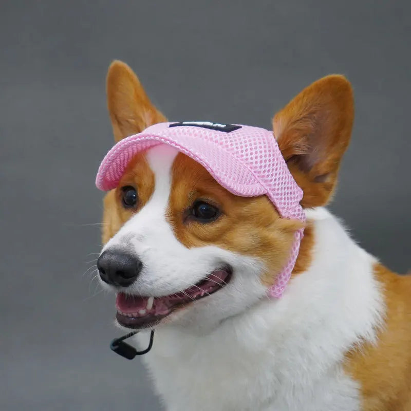 Breathable Summer Dog Hat with Ear Openings – Sun Protection Cap | Pawvalo