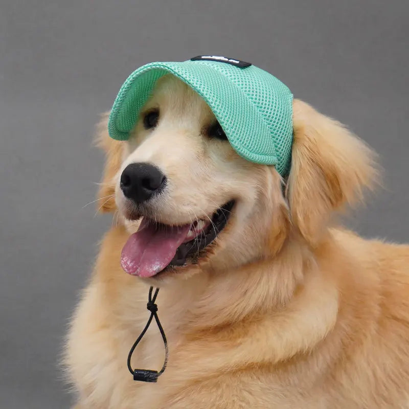 Breathable Summer Dog Hat with Ear Openings – Sun Protection Cap | Pawvalo
