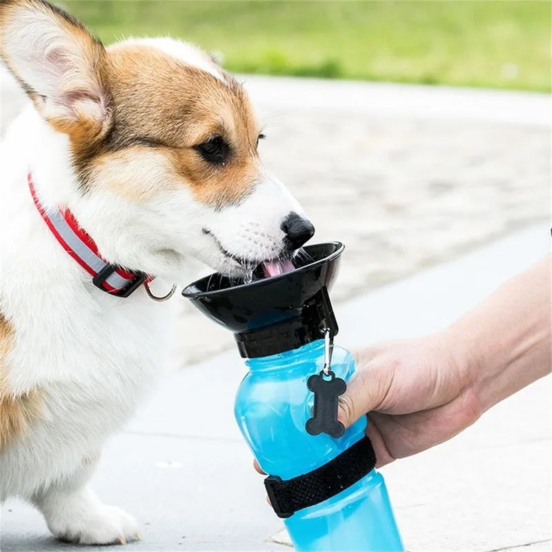 Portable Dog Water Bottle – 500ml Travel Pet Hydration Dispenser with Leak-Proof Design | Pawvalo