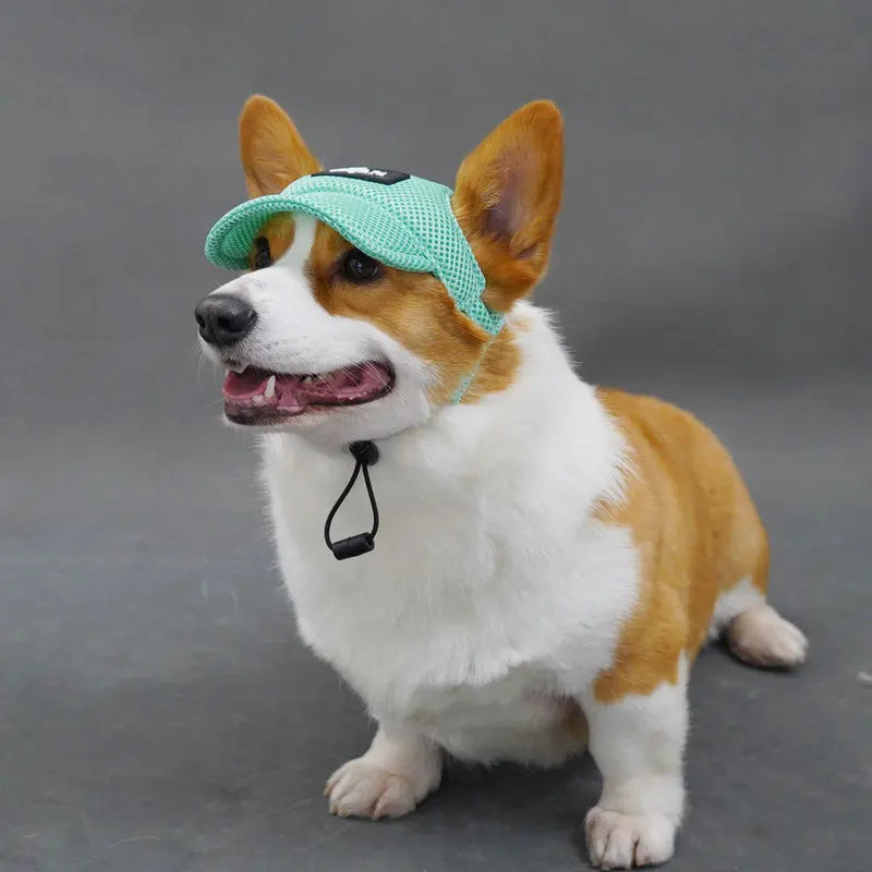Breathable Summer Dog Hat with Ear Openings – Sun Protection Cap | Pawvalo
