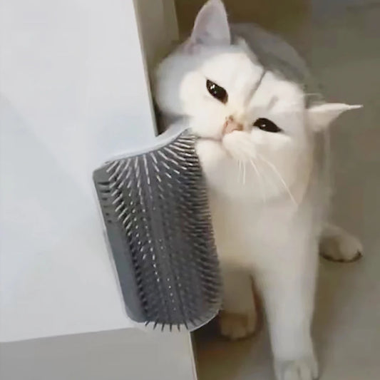 Corner Cat Self-Grooming Brush with Catnip Compartment – Wall-Mounted | Pawvalo